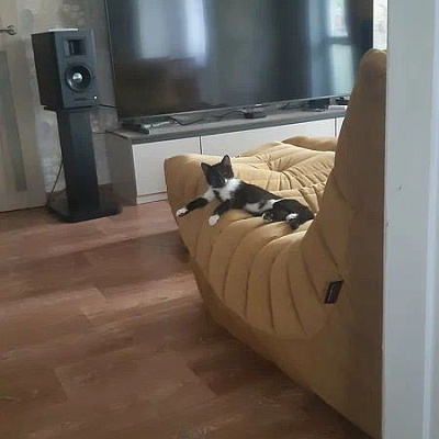 Без имени